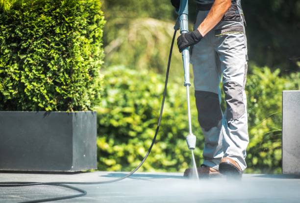 Best Boat and Dock Cleaning  in Lanark, IL