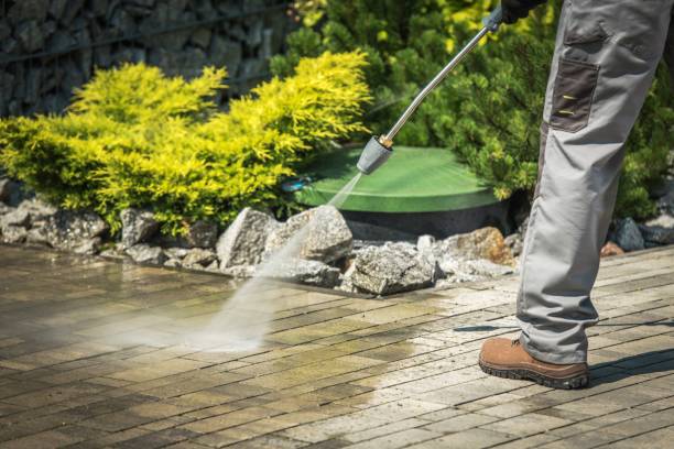 Best Pool Deck Cleaning  in Lanark, IL