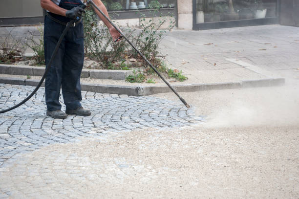 Best Animal Enclosure Cleaning  in Lanark, IL
