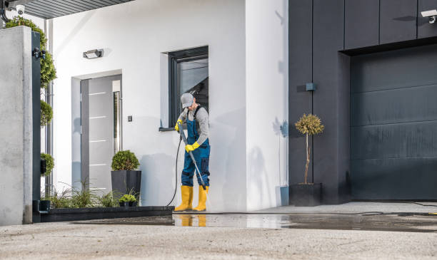 Best Spring Cleaning  in Lanark, IL